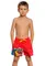 Шорты Breeze shorts kids Q2