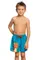 Шорты Breeze shorts kids H2