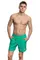 Шорты плавательные Solids II Shorts Adult
