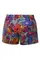 Шорты плавательные Breeze shorts junior A9
