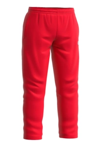 Pros pants logo