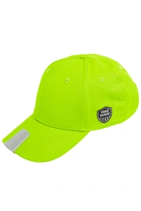 Whistle fan cap logo