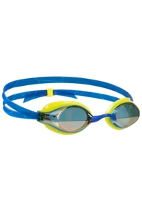 Record breaker rainbow logo