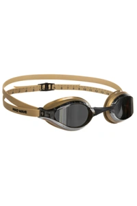 Accelerator mirror logo