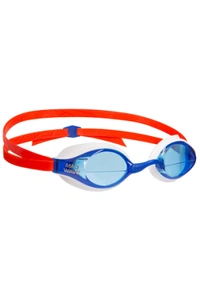 Record breaker Nano logo