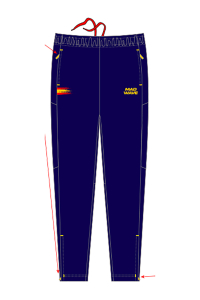 Женские спортивные брюки Flex pants women SF